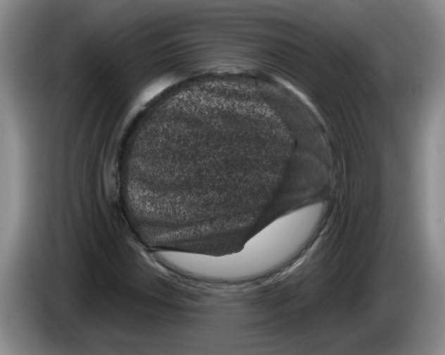X0000083581018200703091654
