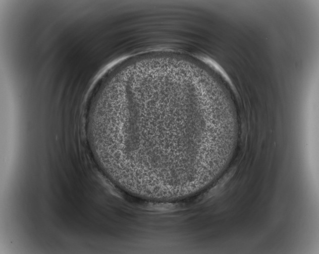 X0000083581019200703091654