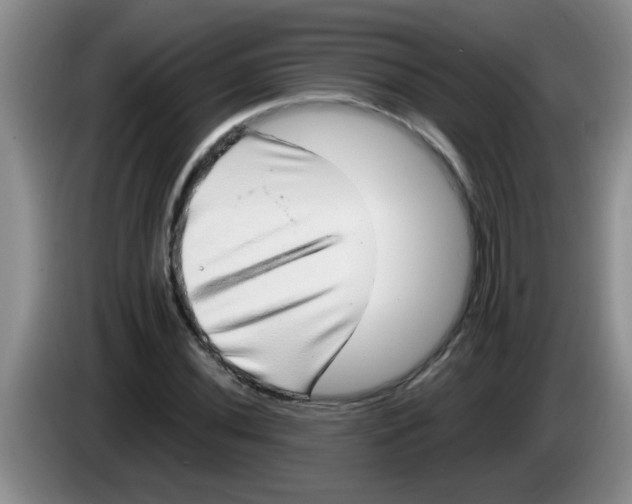 X0000083581020200703091654