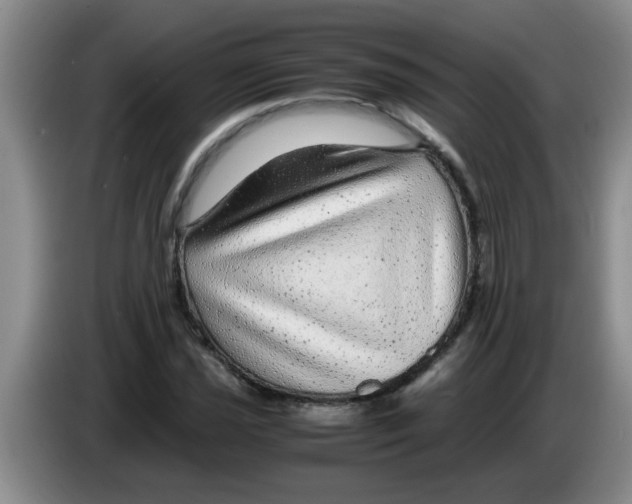 X0000083581021200703091654