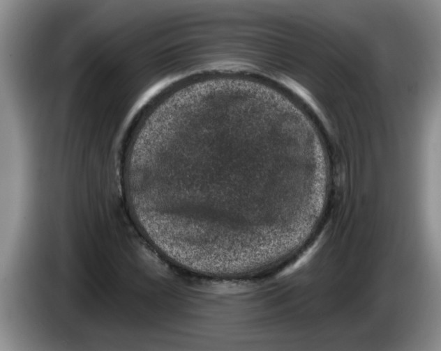 X0000083581022200703091654