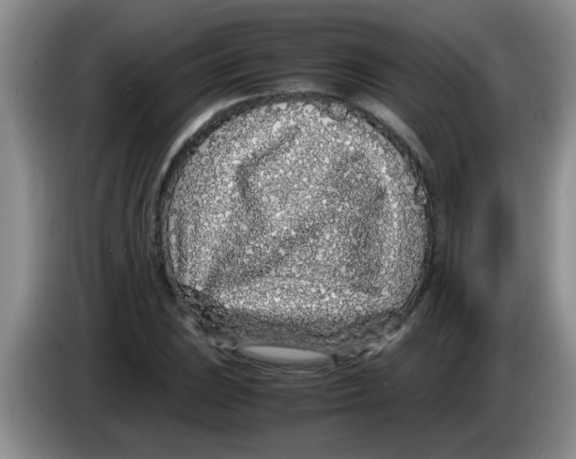 X0000083581023200703091654