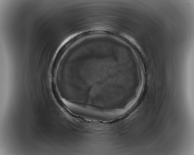 X0000083581024200703091654
