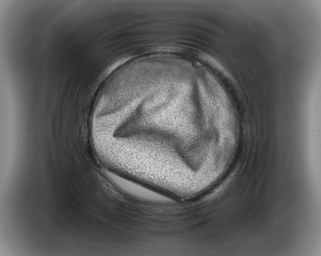 X0000083581025200703091654