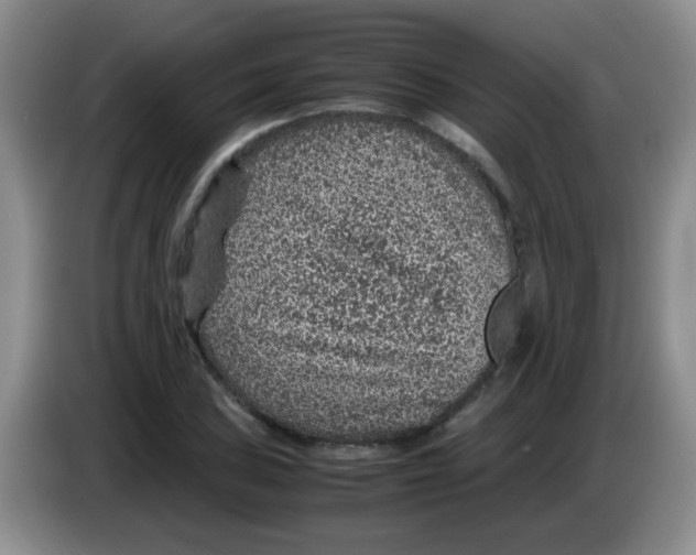 X0000083581027200703091654