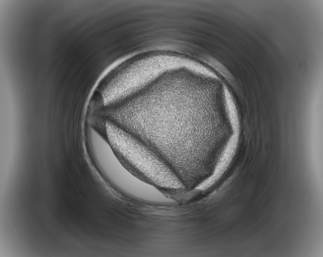 X0000083581028200703091654