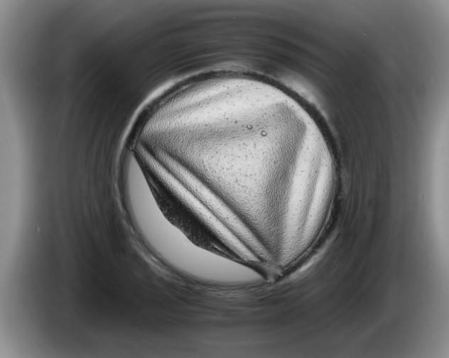 X0000083581029200703091654