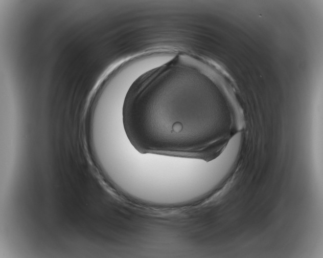 X0000083581030200703091654