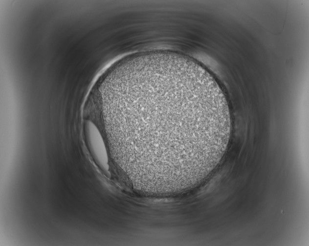 X0000083581031200703091654