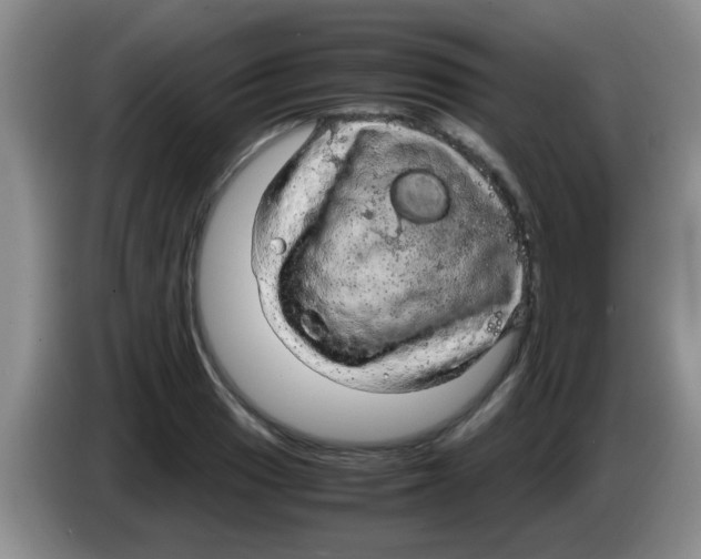 X0000083581033200703091654