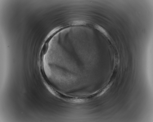 X0000083581034200703091654