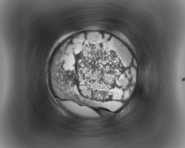 X0000083581035200703091654