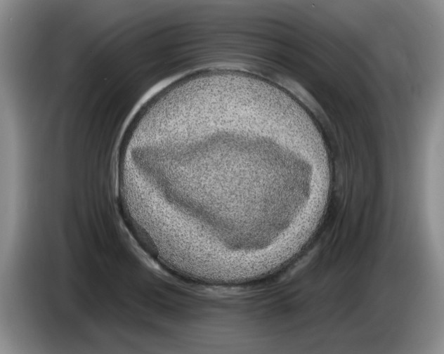 X0000083581036200703091654