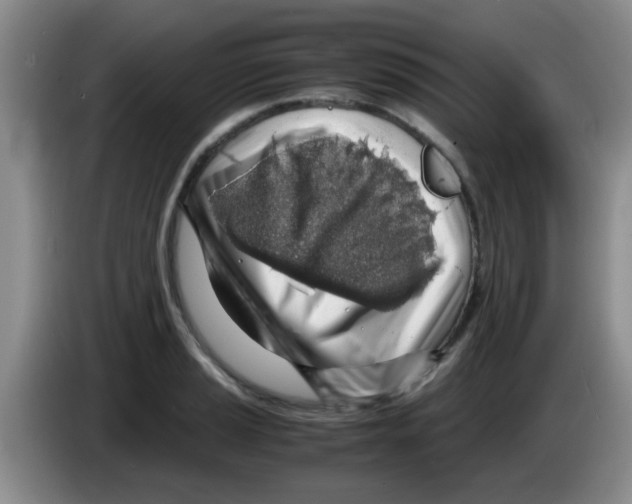 X0000083581037200703091654