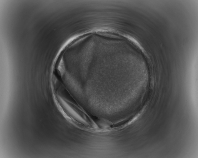 X0000083581038200703091654