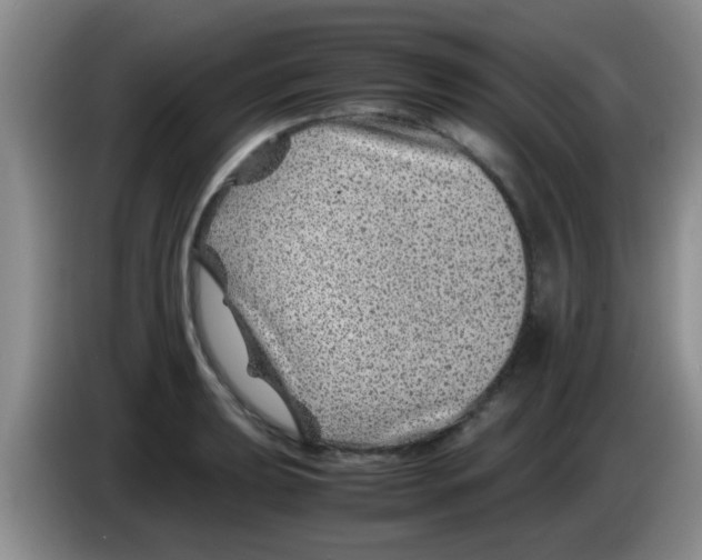 X0000083581039200703091654