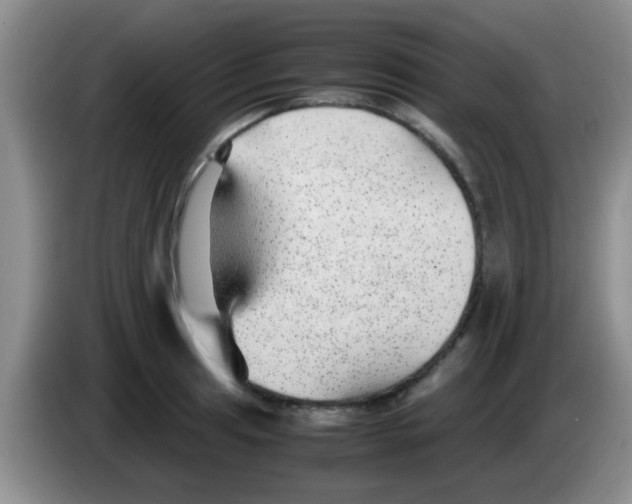 X0000083581041200703091654