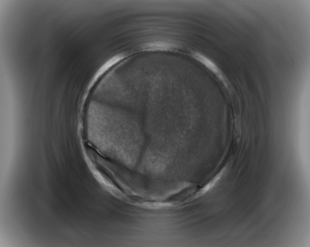 X0000083581042200703091654