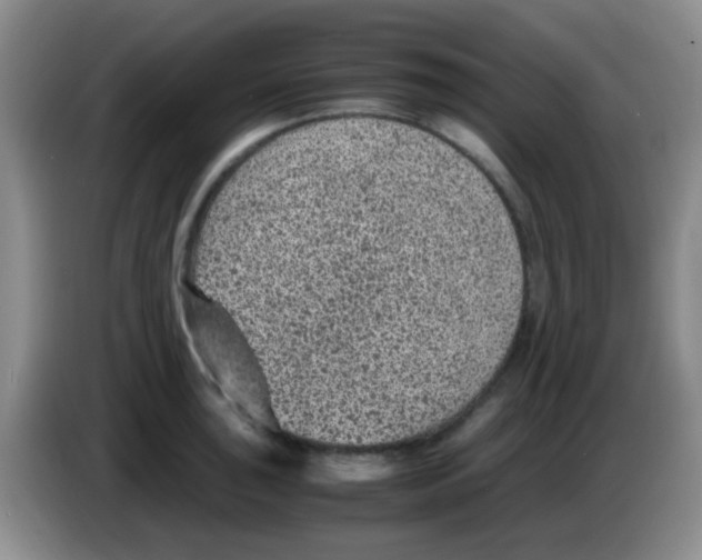 X0000083581043200703091654