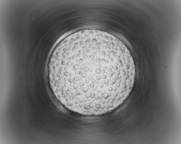 X0000083581044200703091654