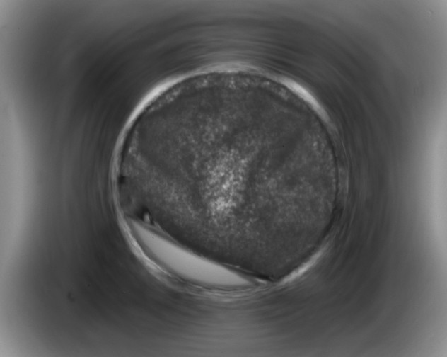 X0000083581046200703091654