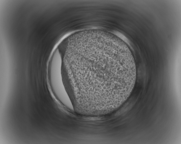 X0000083581047200703091654