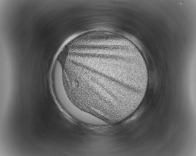 X0000083581048200703091654