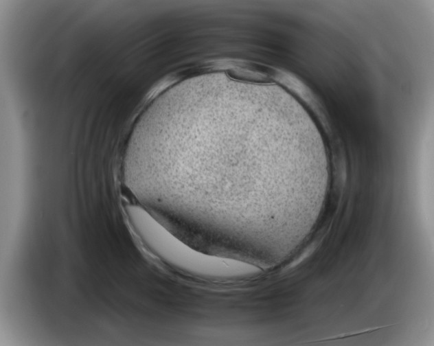 X0000083581049200703091654