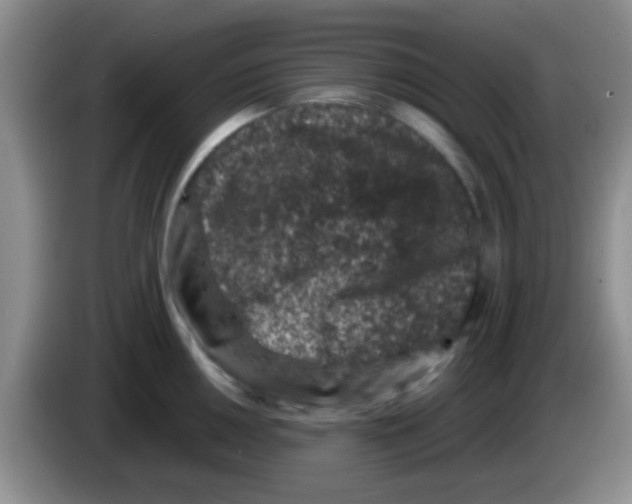 X0000083581050200703091654