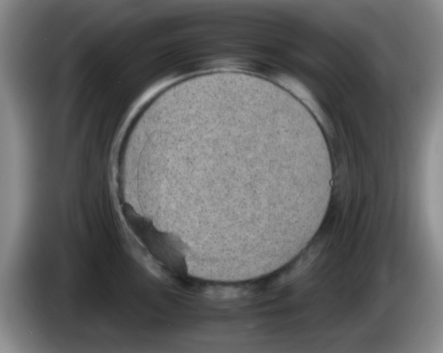 X0000083581051200703091654