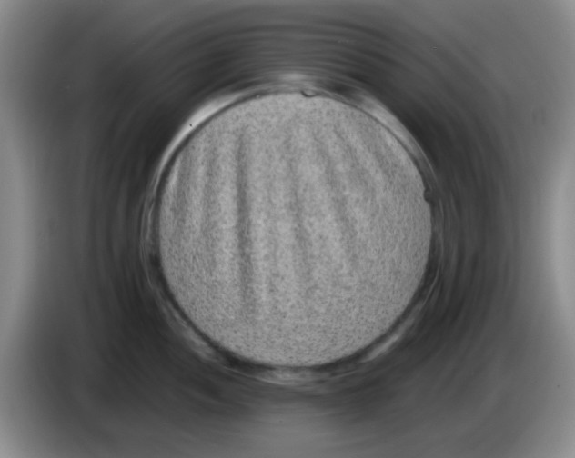 X0000083581052200703091654