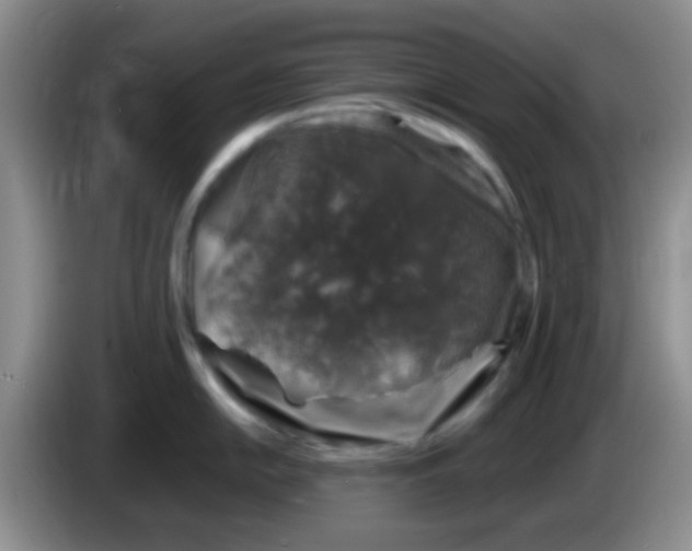 X0000083581054200703091654