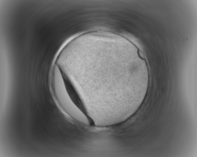 X0000083581056200703091654