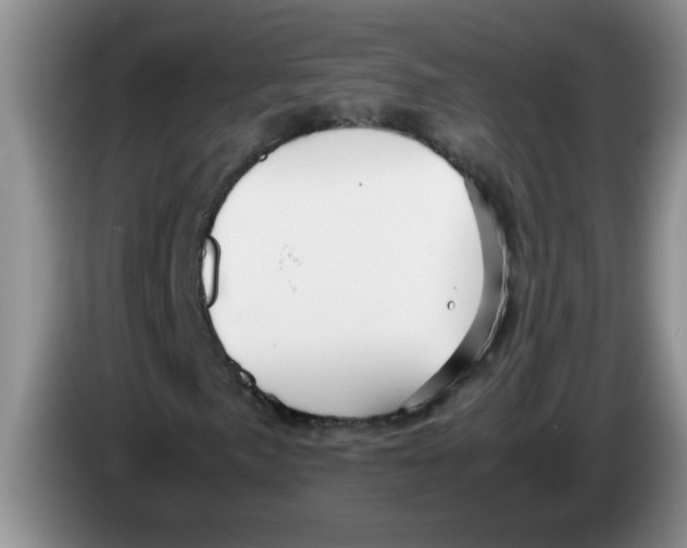X0000083581057200703091654