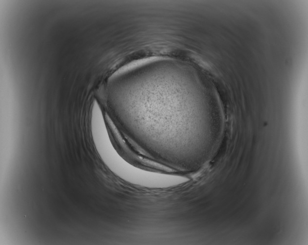 X0000083581058200703091654