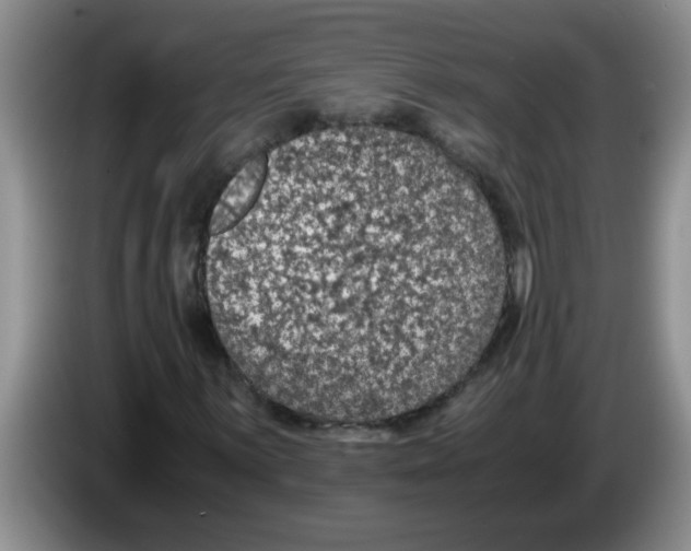 X0000083581059200703091654