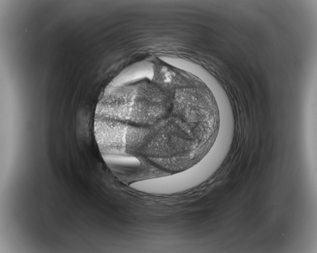 X0000083581060200703091654