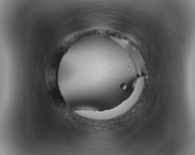 X0000083581062200703091654