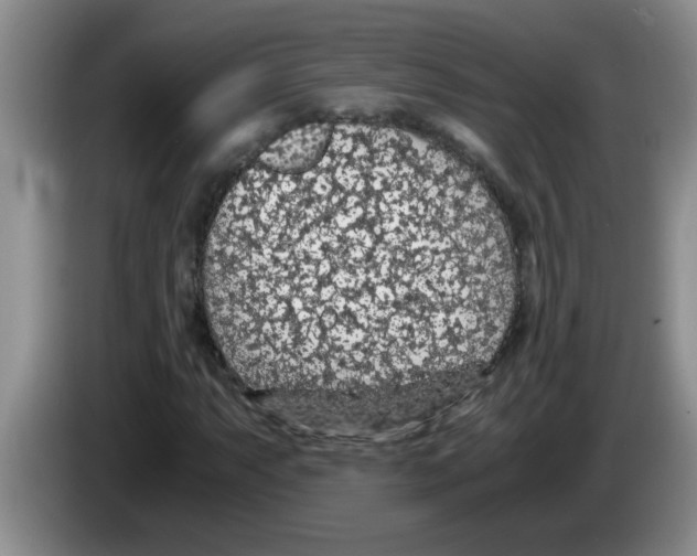 X0000083581063200703091654