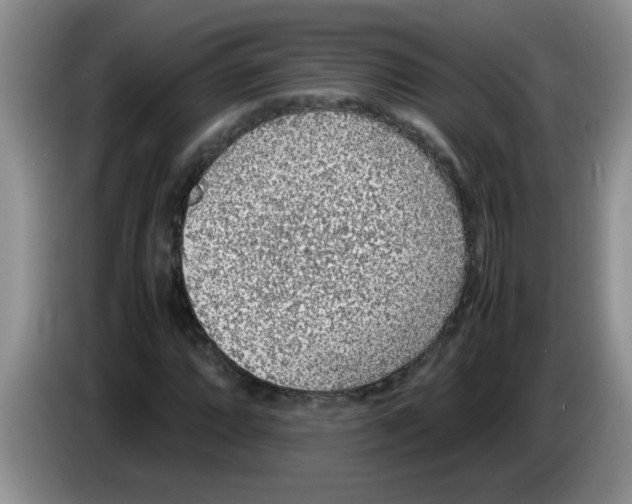 X0000083581064200703091654