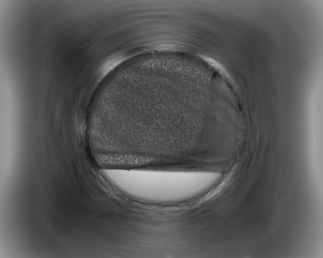X0000083581065200703091654