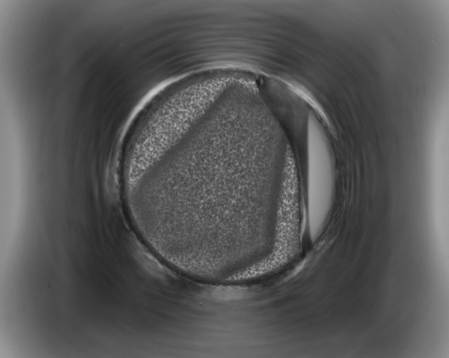 X0000083581068200703091653