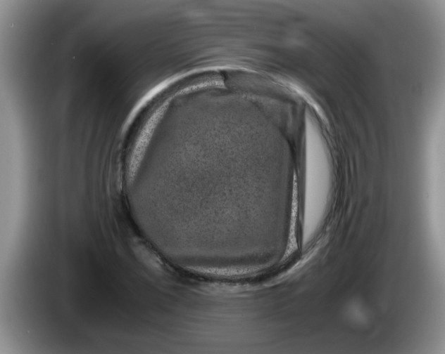 X0000083581069200703091653