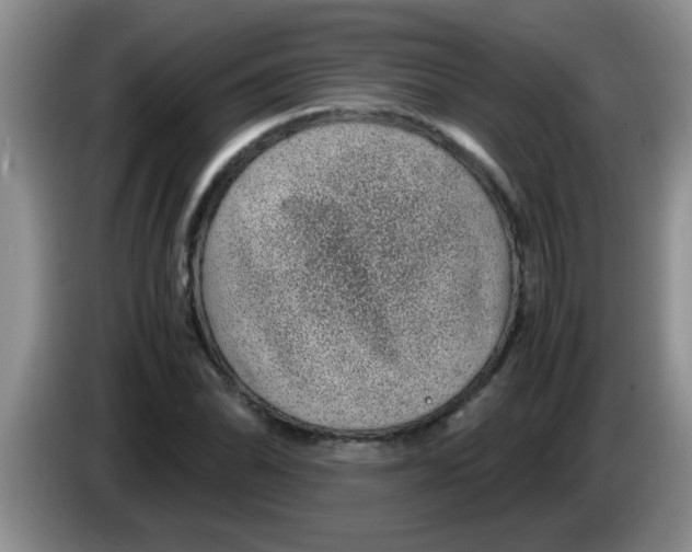 X0000083581070200703091653
