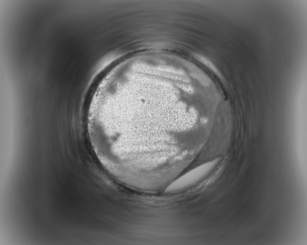 X0000083581071200703091653