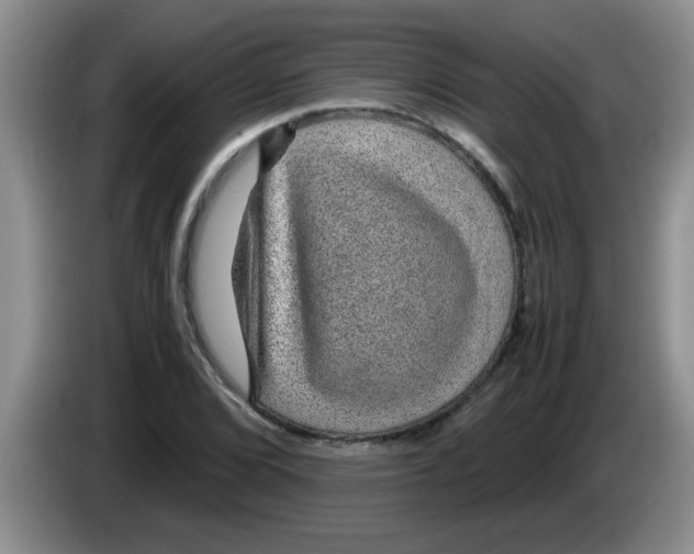 X0000083581072200703091653