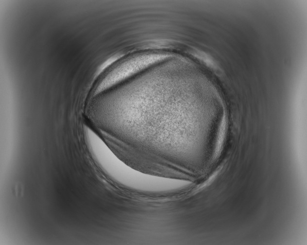 X0000083581073200703091653