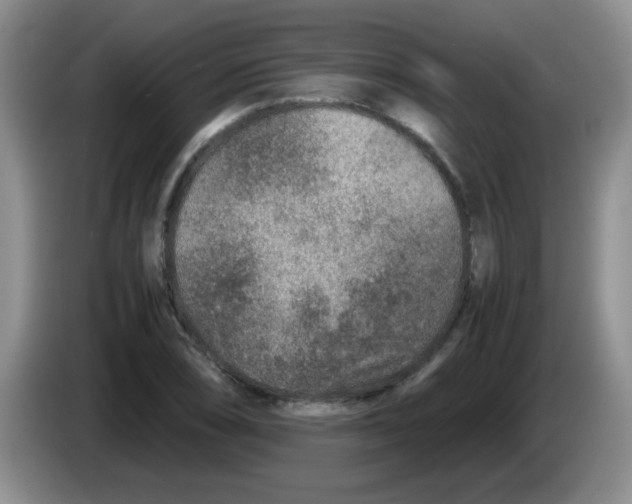 X0000083581074200703091653