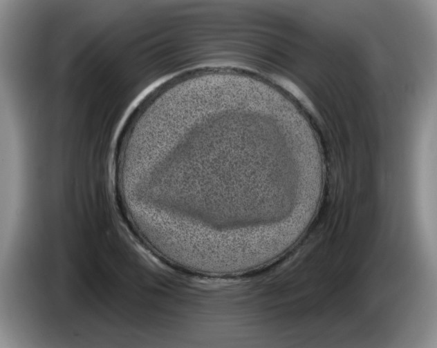 X0000083581076200703091653