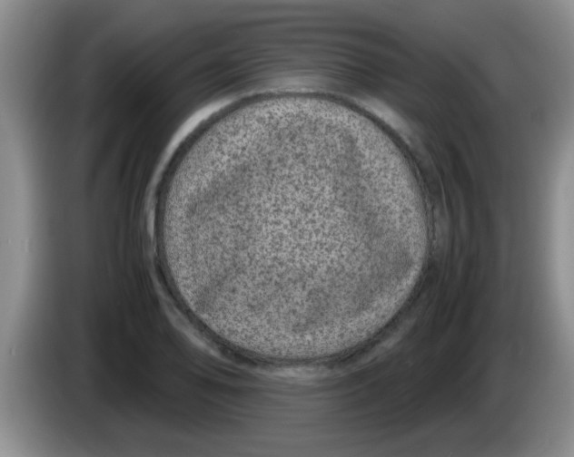 X0000083581078200703091653